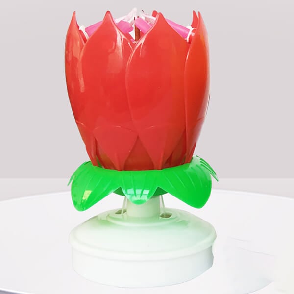 🎂Fleur magique Bougie d'anniversaire