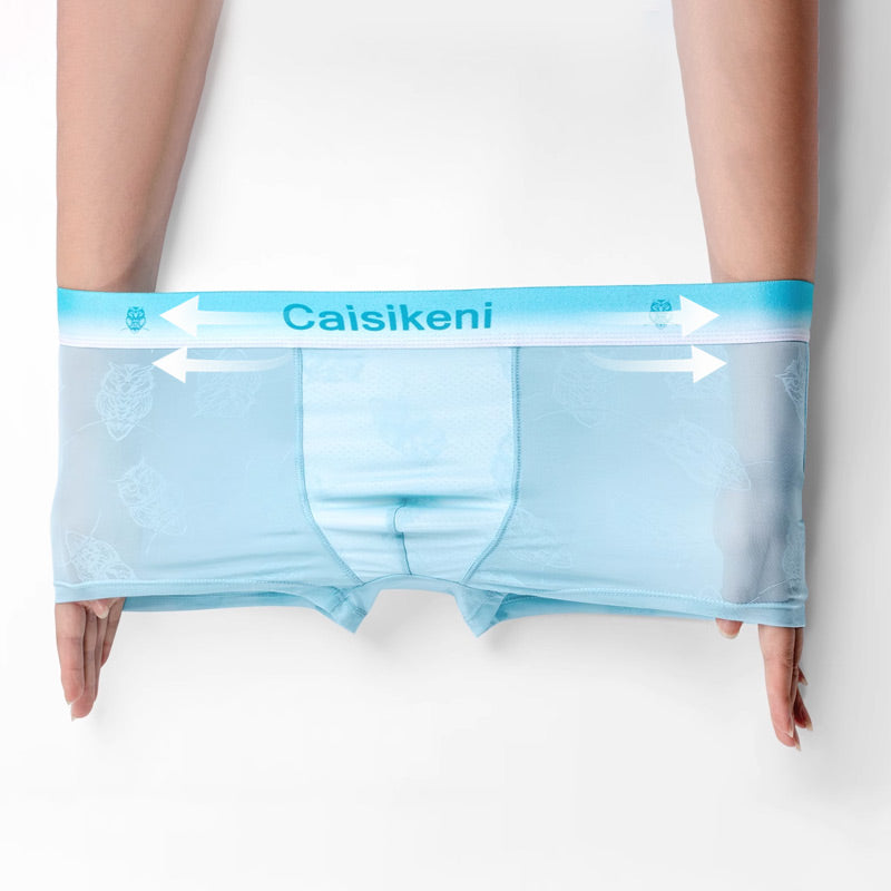 🎁Achetez-en 1 et obtenez-en 2 gratuitement🎁 Caleçon rafraîchissant et respirant pour hommes avec taille élastique