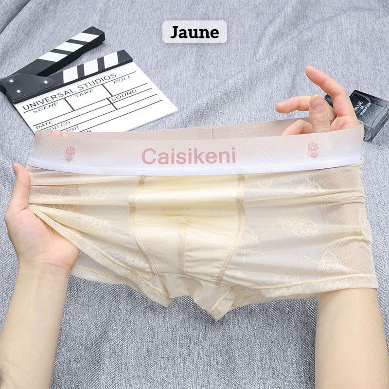 🎁Achetez-en 1 et obtenez-en 2 gratuitement🎁 Caleçon rafraîchissant et respirant pour hommes avec taille élastique
