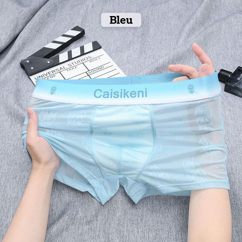 🎁Achetez-en 1 et obtenez-en 2 gratuitement🎁 Caleçon rafraîchissant et respirant pour hommes avec taille élastique