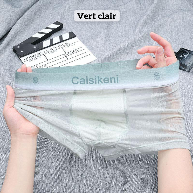 🎁Achetez-en 1 et obtenez-en 2 gratuitement🎁 Caleçon rafraîchissant et respirant pour hommes avec taille élastique