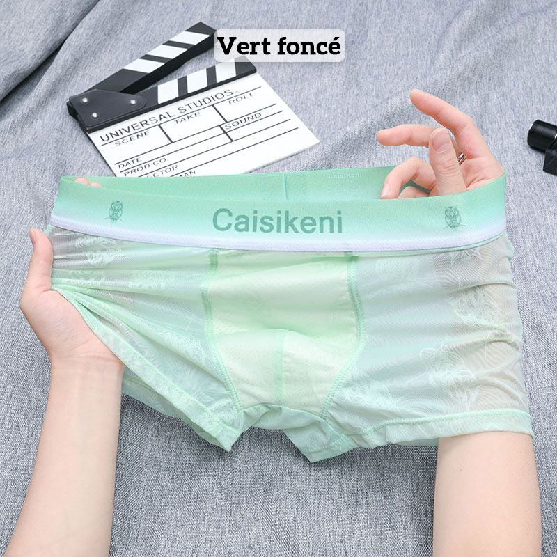 🎁Achetez-en 1 et obtenez-en 2 gratuitement🎁 Caleçon rafraîchissant et respirant pour hommes avec taille élastique