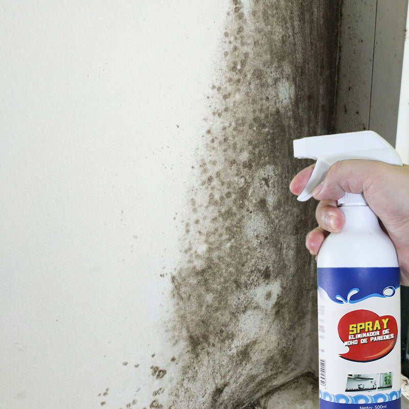 Spray anti-moisissures pour murs