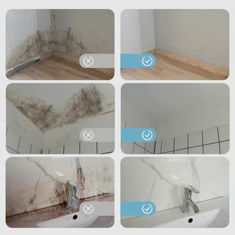 Spray anti-moisissures pour murs