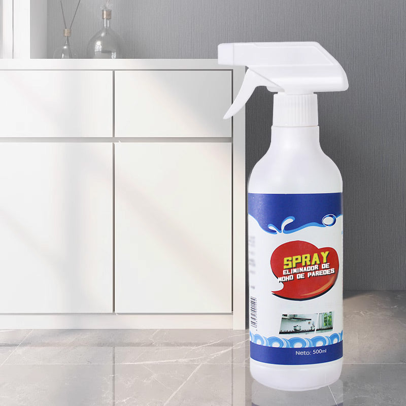 Spray anti-moisissures pour murs