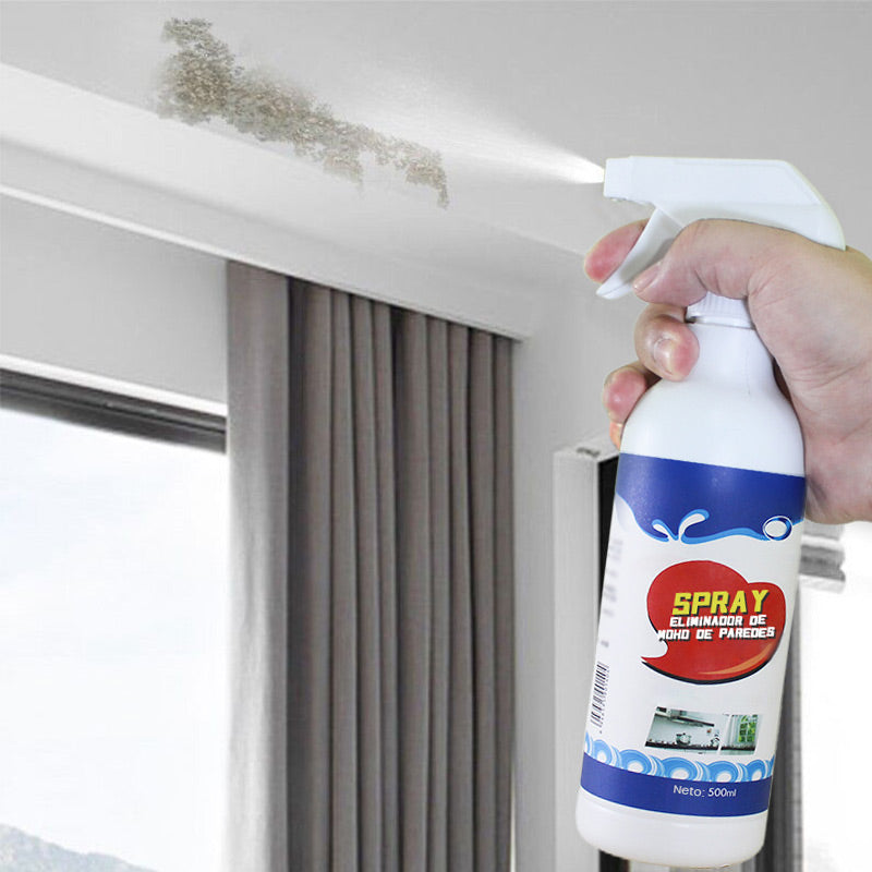 Spray anti-moisissures pour murs
