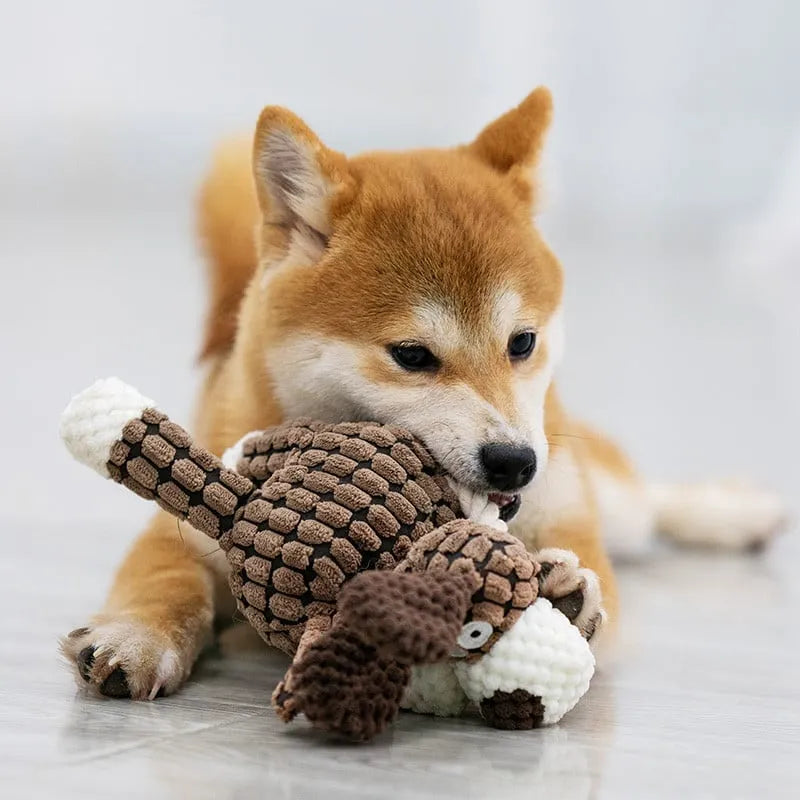 🐶Dernier jour pour acheter 2 et obtenir 1 gratuit🐾Jouet en peluche pour votre ami à fourrure.