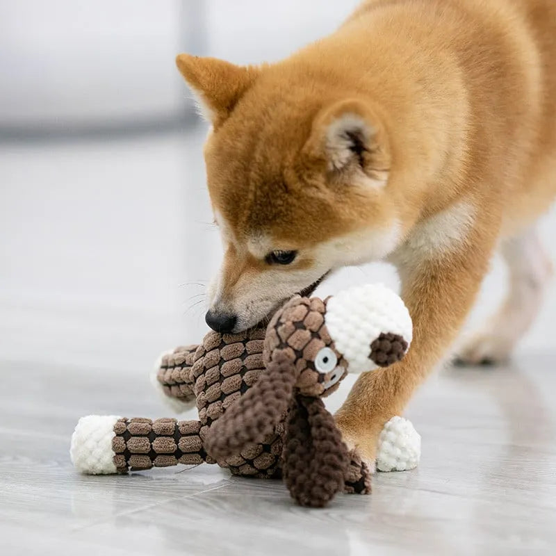 🐶Dernier jour pour acheter 2 et obtenir 1 gratuit🐾Jouet en peluche pour votre ami à fourrure.