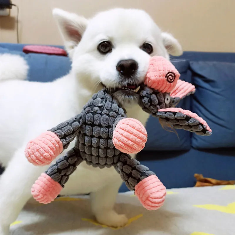🐶Dernier jour pour acheter 2 et obtenir 1 gratuit🐾Jouet en peluche pour votre ami à fourrure.